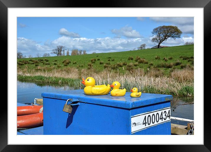 Rubber Ducks On The Lancaster Canal Framed Mounted Print by Gary Kenyon