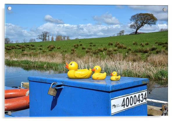  Rubber Ducks On The Lancaster Canal Acrylic by Gary Kenyon