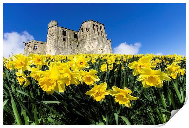  Warkworth Castle Print by Northeast Images