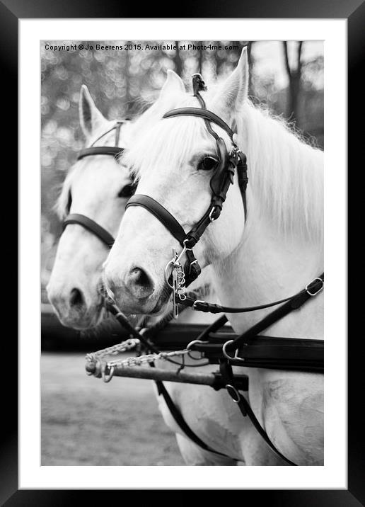 white horses Framed Mounted Print by Jo Beerens