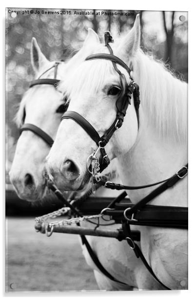 white horses Acrylic by Jo Beerens