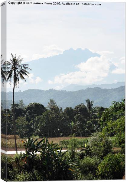  Mount Kinabalu Canvas Print by Carole-Anne Fooks