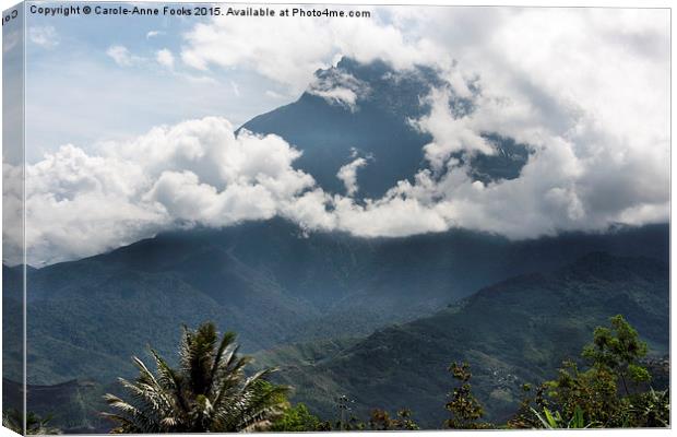  Mount Kinabalu, Borneo Canvas Print by Carole-Anne Fooks