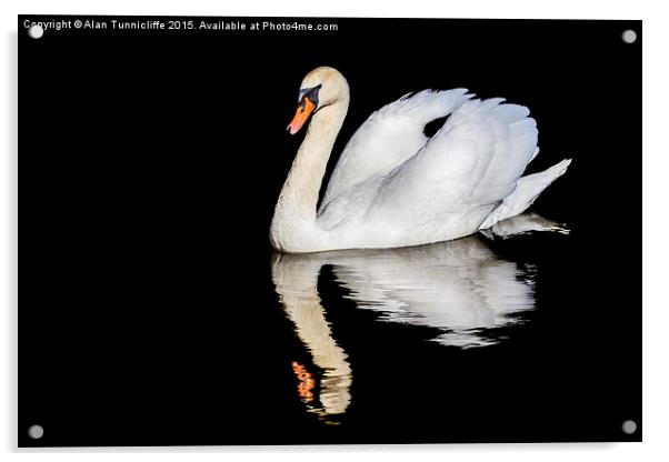  Mute swan with reflection Acrylic by Alan Tunnicliffe