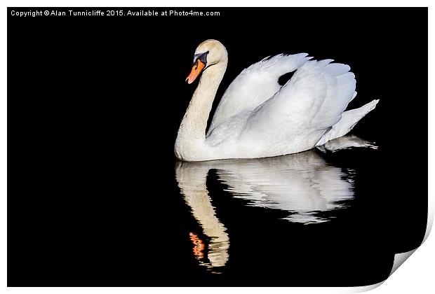  Mute swan with reflection Print by Alan Tunnicliffe