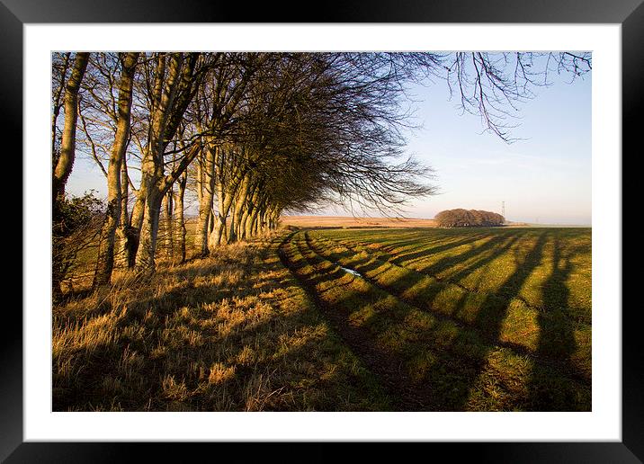  Shadows above Winterborne Steepleton Framed Mounted Print by Colin Tracy