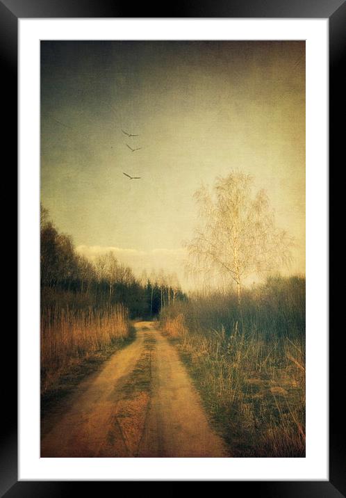 Flying home #3 Framed Mounted Print by Piotr Tyminski