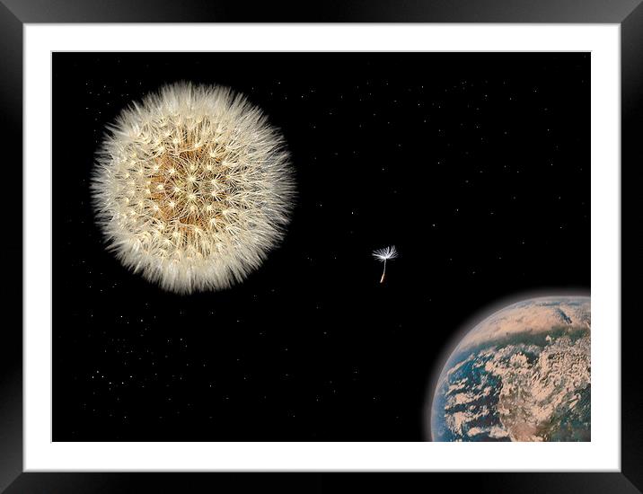  Space Odyseed Framed Mounted Print by Colin Tracy