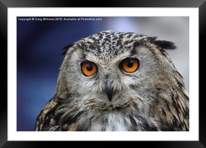  Eagle Owl Framed Mounted Print by Craig Williams