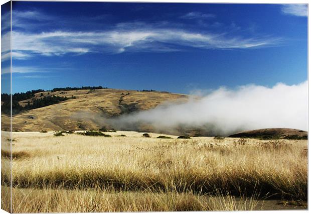 Above the Fog Canvas Print by Nick Minoff