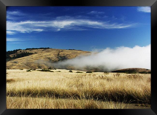 Above the Fog Framed Print by Nick Minoff