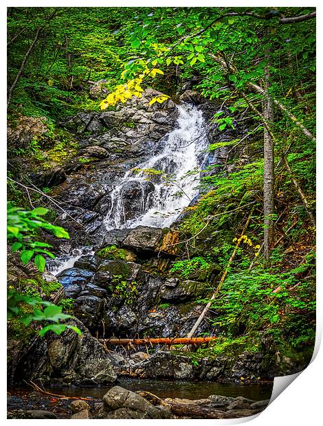 Mackintosh Falls, Cape Breton, Canada Print by Mark Llewellyn