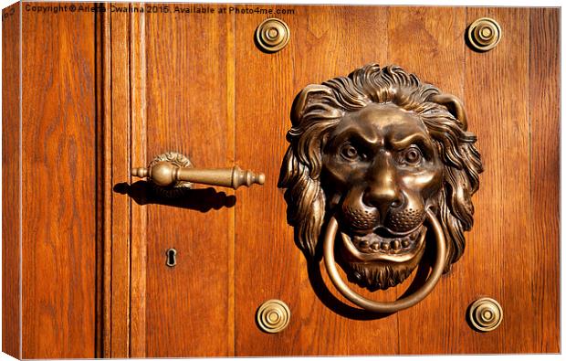 Lion casting knock door decoration Canvas Print by Arletta Cwalina