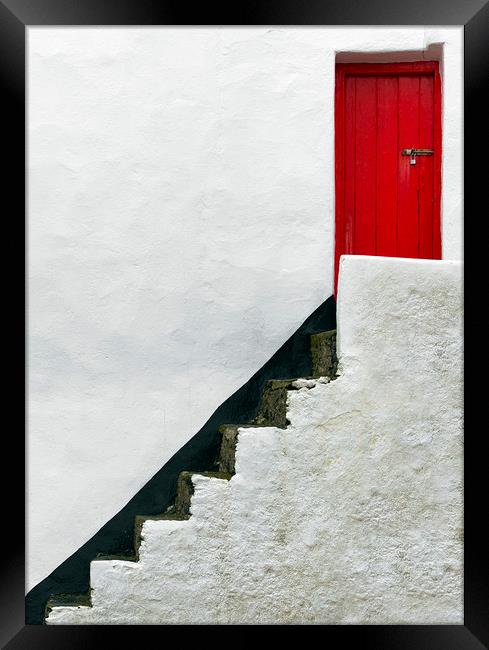  Red Door Framed Print by Svetlana Sewell