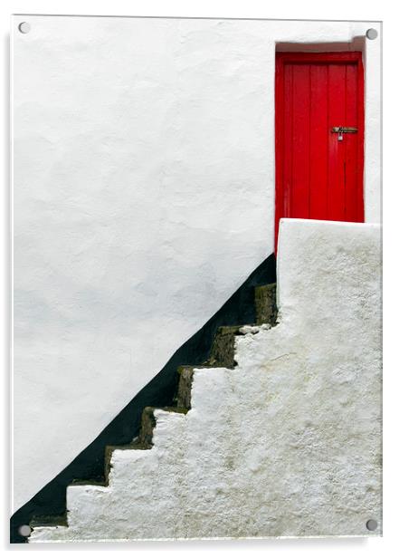  Red Door Acrylic by Svetlana Sewell