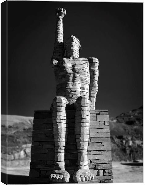 To the heavens we look Canvas Print by Andy Evans