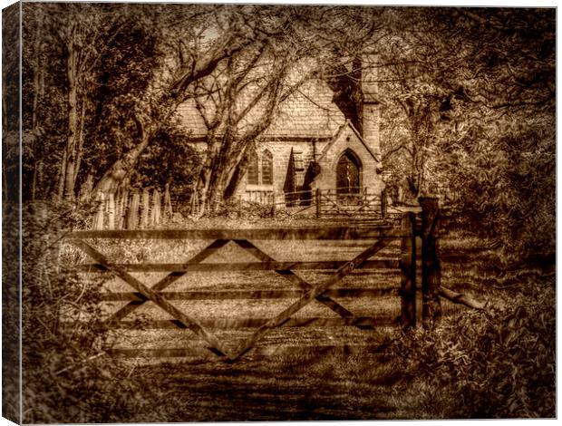  eerie Canvas Print by sue davies