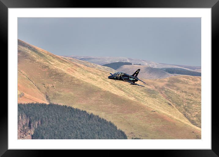  A Hawk flies over Wales Framed Mounted Print by Rob Lester