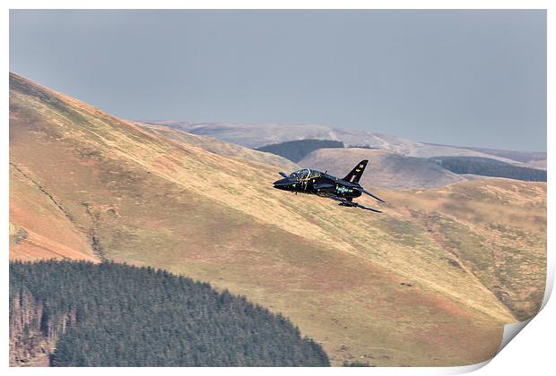  A Hawk flies over Wales Print by Rob Lester