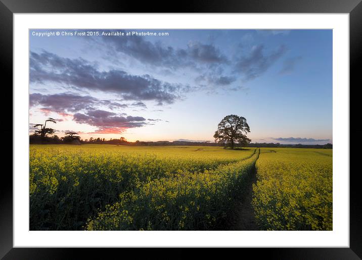  Day's Done at Kingston Lacy Framed Mounted Print by Chris Frost