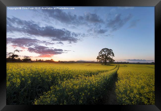 Day's Done at Kingston Lacy Framed Print by Chris Frost
