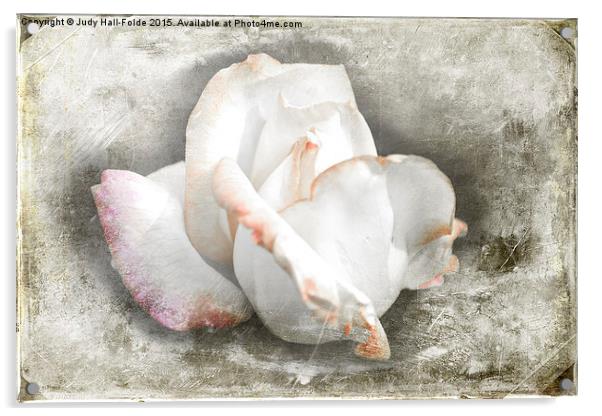  Rustic Rose Acrylic by Judy Hall-Folde