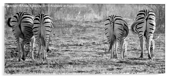  Zebras bums. Acrylic by Angela Starling