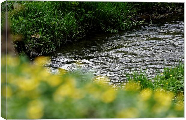 small river with shore grass Canvas Print by Adrian Bud
