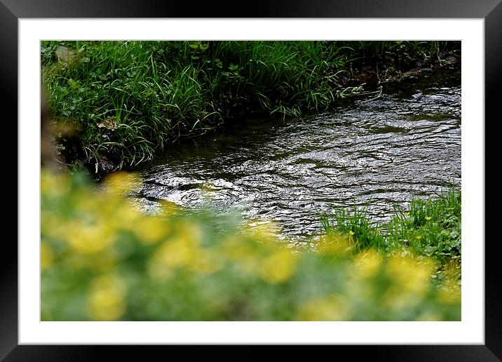 small river with shore grass Framed Mounted Print by Adrian Bud