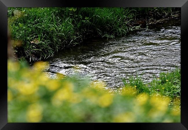 small river with shore grass Framed Print by Adrian Bud