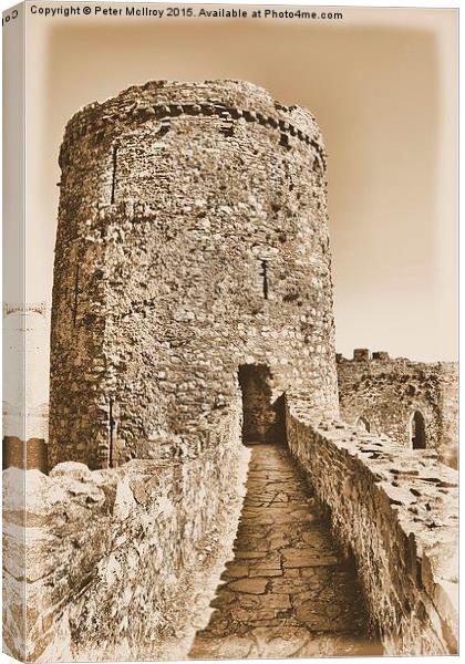 Kidwelly Castle Canvas Print by Peter McIlroy