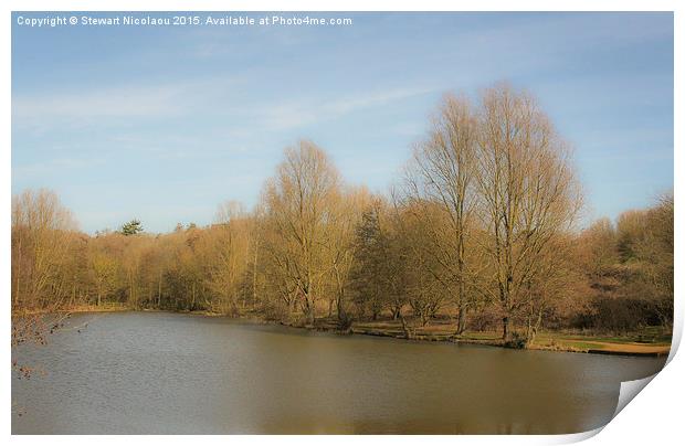  High Woods Lake, Colchester Print by Stewart Nicolaou