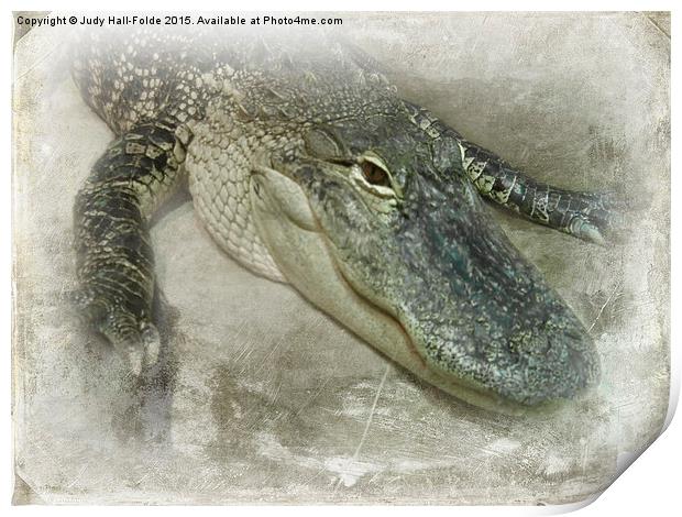  Real Live Gator Print by Judy Hall-Folde