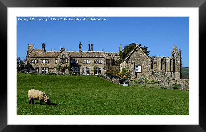  Bolton Abbey Framed Mounted Print by Fine art by Rina