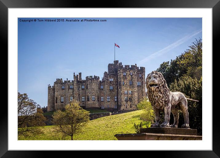  Standing Guard over Alnwick Castle Framed Mounted Print by Tom Hibberd
