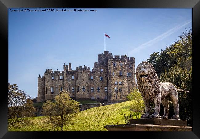  Standing Guard over Alnwick Castle Framed Print by Tom Hibberd