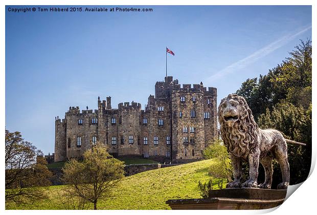  Standing Guard over Alnwick Castle Print by Tom Hibberd