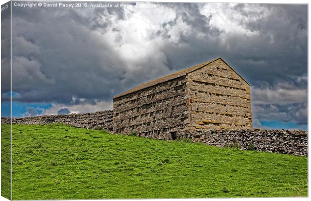  The Old Barn  Canvas Print by David Pacey