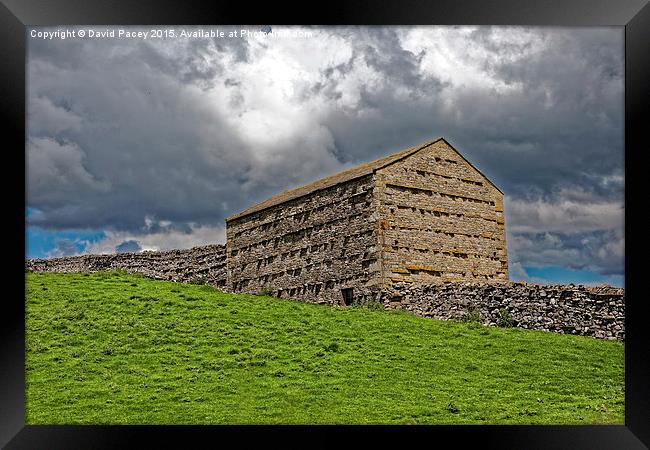  The Old Barn  Framed Print by David Pacey