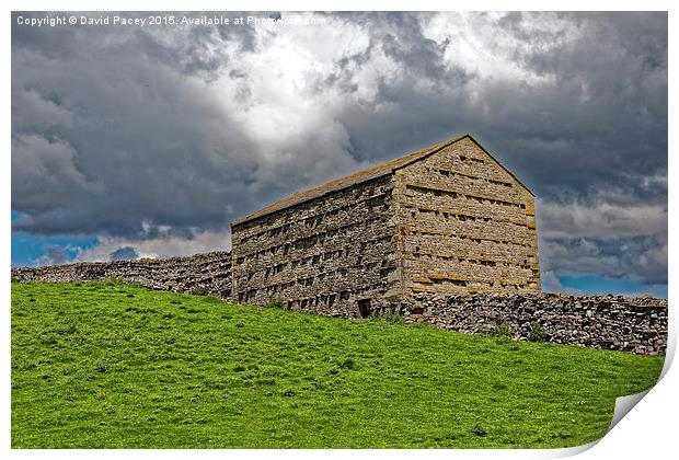  The Old Barn  Print by David Pacey