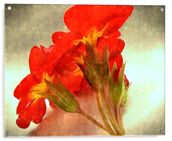  vintage flora Acrylic by dale rys (LP)