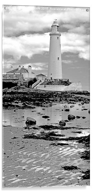 Majestic Saint Marys Lighthouse Acrylic by Martyn Arnold