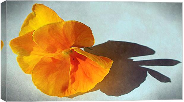  flora closeup   Canvas Print by dale rys (LP)