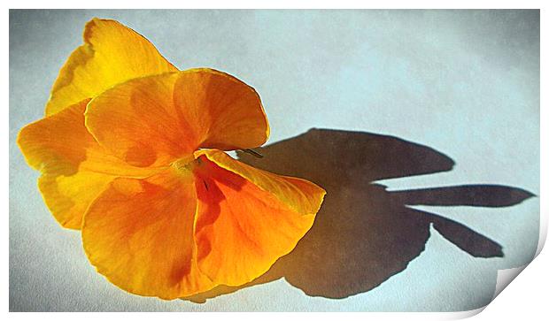  flora closeup   Print by dale rys (LP)