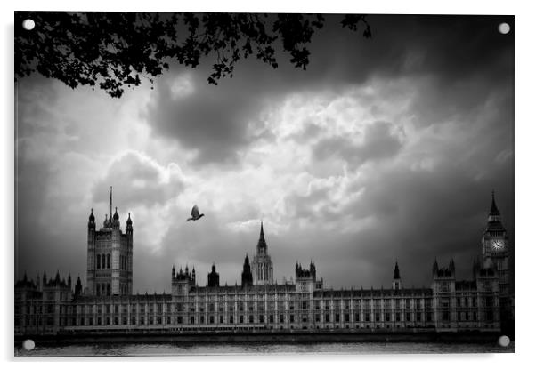  Westminster Acrylic by Svetlana Sewell