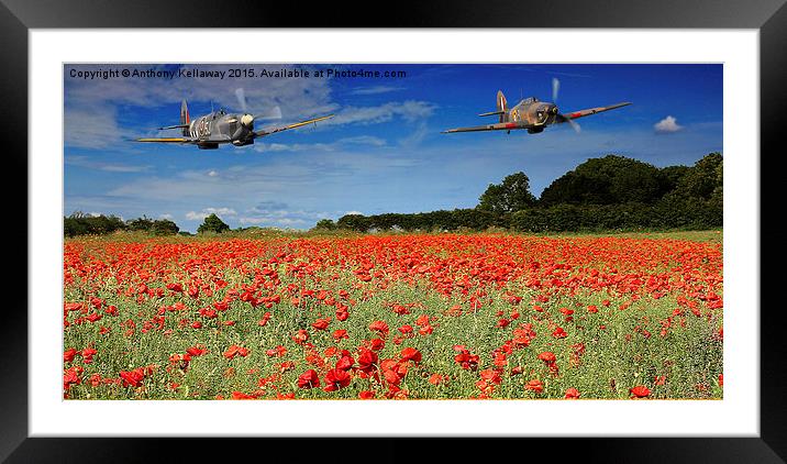  SPITFIRE AND HURRICANE FLYPAST Framed Mounted Print by Anthony Kellaway