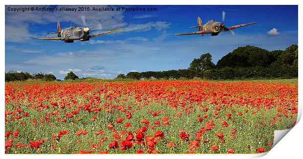 SPITFIRE AND HURRICANE FLYPAST Print by Anthony Kellaway