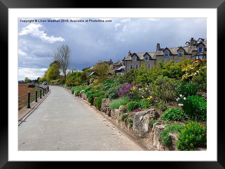  Grange over Sands Promenade.  Framed Mounted Print by Lilian Marshall