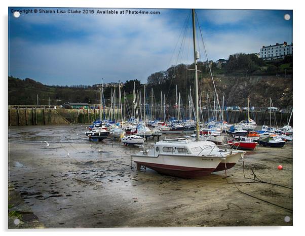  Ilfracombe Acrylic by Sharon Lisa Clarke