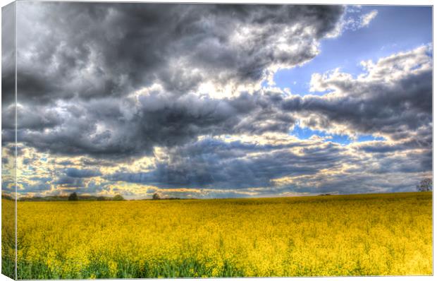 The Storms Approach  Canvas Print by David Pyatt